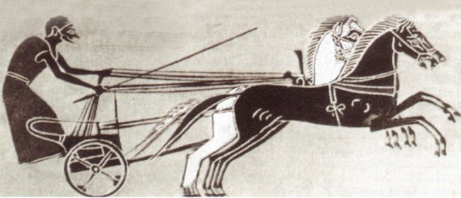 Immagine universitarian