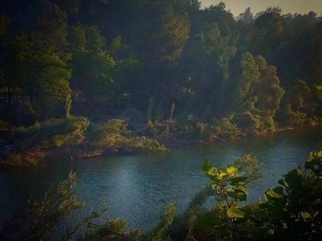 18817973_10213243331785853_193535920_o